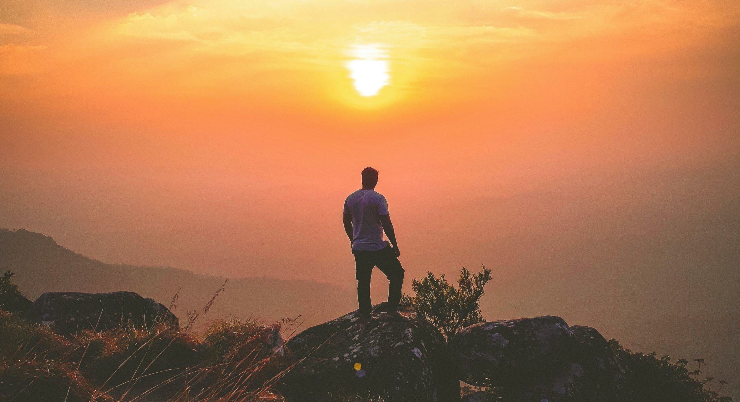 Qu'est-ce que l'homme ?