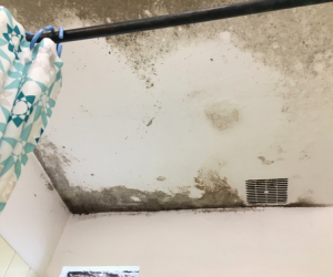 Logement bâtiment D